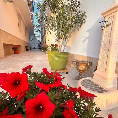 Casa Balan Penzion